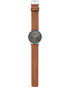 Купить Наручные часы Skagen SKW6578  в E-mobi