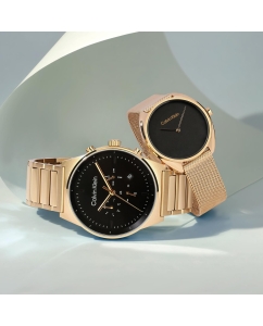 Купить Наручные часы Calvin Klein 25200294  в E-mobi