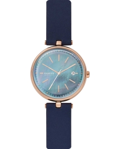 Купить Наручные часы Skagen SKW2981 в E-mobi