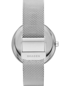 Купить Наручные часы Skagen SKW2979  в E-mobi