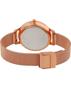 Купить Наручные часы Skagen SKW2633  в E-mobi