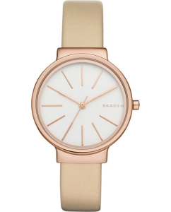 Купить Наручные часы Skagen SKW2481 в E-mobi
