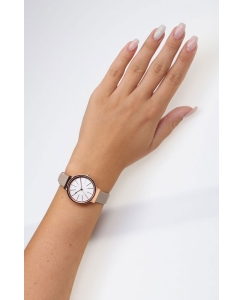 Купить Наручные часы Skagen SKW2481  в E-mobi