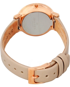 Купить Наручные часы Skagen SKW2481  в E-mobi