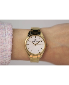 Купить Наручные часы Daniel Klein DK.1.12902-2  в E-mobi