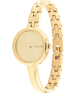 Купить Наручные часы Calvin Klein 25200279  в E-mobi