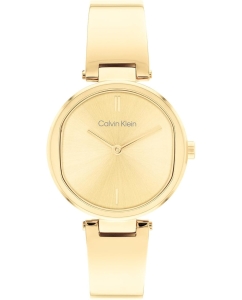 Купить Наручные часы Calvin Klein 25200309 в E-mobi