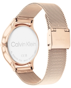 Купить Наручные часы Calvin Klein 25200002  в E-mobi
