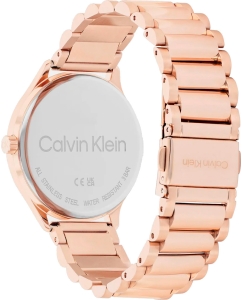 Купить Наручные часы Calvin Klein 25200370  в E-mobi