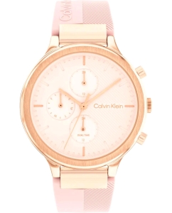 Купить Наручные часы Calvin Klein 25200243 в E-mobi
