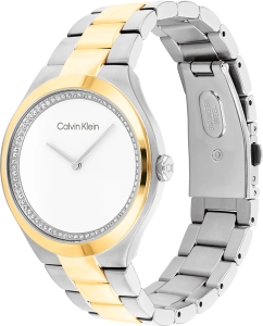 Купить Наручные часы Calvin Klein 25200366  в E-mobi