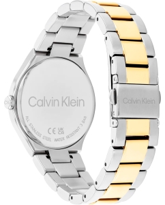 Купить Наручные часы Calvin Klein 25200366  в E-mobi