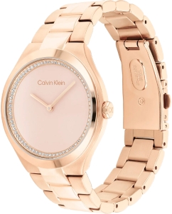 Купить Наручные часы Calvin Klein 25200368  в E-mobi