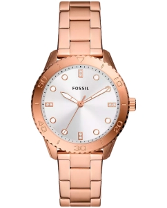 Купить Наручные часы Fossil BQ3886 в E-mobi