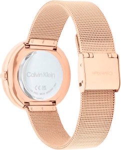 Купить Наручные часы Calvin Klein 25200312  в E-mobi