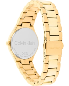 Купить Наручные часы Calvin Klein 25200333  в E-mobi