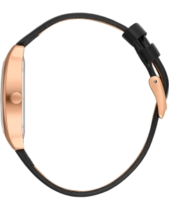 Купить Наручные часы Santa Barbara Polo &amp; Racquet Club SB.1.10558-5  в E-mobi