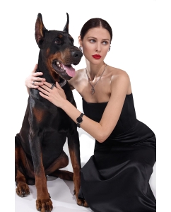 Купить Наручные часы Daniel Wellington Petite 32 Ashfield S Black  в E-mobi