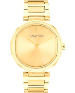 Купить Наручные часы Calvin Klein 25200252 в E-mobi