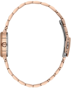 Купить Наручные часы Daniel Klein DK.1.13728-5  в E-mobi