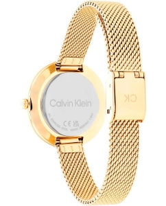 Купить Наручные часы Calvin Klein 25200186  в E-mobi