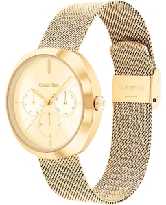 Купить Наручные часы Calvin Klein 25200339  в E-mobi