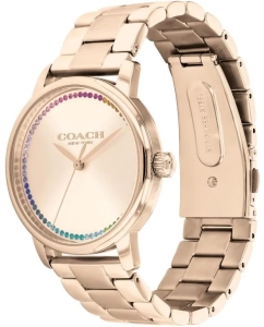 Купить Наручные часы COACH 14504064  в E-mobi