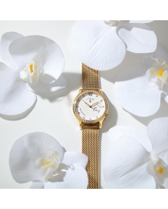 Купить Швейцарские механические наручные часы L Duchen D713.46.33M  в E-mobi