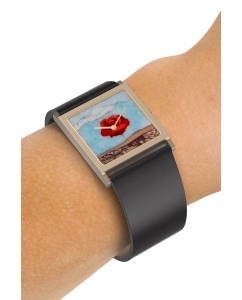 Купить Российские наручные часы Briller AU-SG-114  в E-mobi