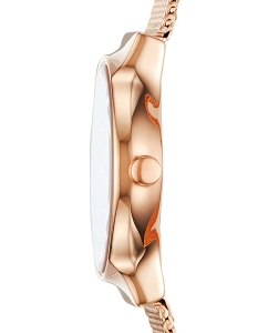 Купить Наручные часы Skagen SKW2665  в E-mobi