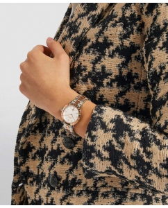 Купить Наручные часы Vivienne Westwood VV152RSSL  в E-mobi