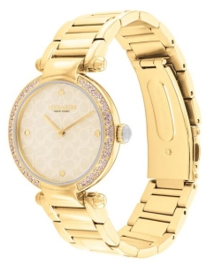 Купить Наручные часы COACH 14504183  в E-mobi