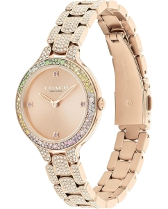 Купить Наручные часы COACH 14504166  в E-mobi