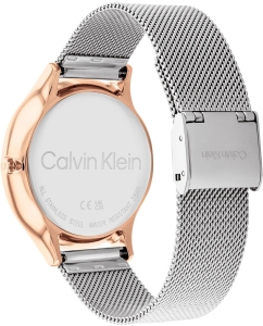 Купить Наручные часы Calvin Klein 25200106  в E-mobi