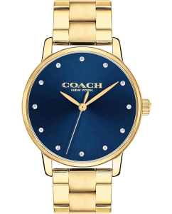 Купить Наручные часы COACH 14503970 в E-mobi