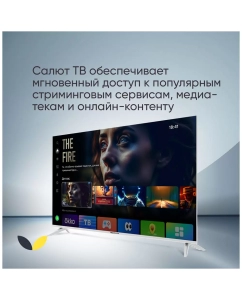 Купить Телевизор Top Device CS08, 32"(81 см), HD  в E-mobi