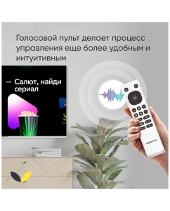 Купить Телевизор Top Device CS08, 32"(81 см), HD  в E-mobi