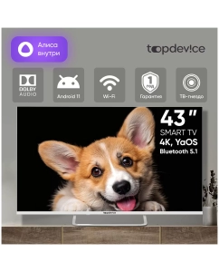 Купить Телевизор Top Device CS03, 16,9"(43 см), UHD 4K  в E-mobi