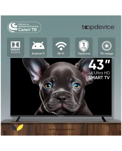 Купить Телевизор Top Device CS08, 43"(109 см), UHD 4K  в E-mobi