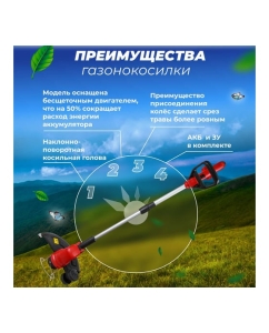 Купить Аккумуляторный триммер WORTEX TB 3018 ALL1 0333238  в E-mobi