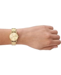 Купить Наручные часы Skagen SKW3124  в E-mobi