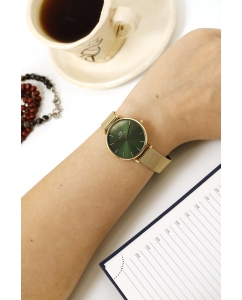 Купить Наручные часы Daniel Wellington Petite Emerald 32 G Green  в E-mobi