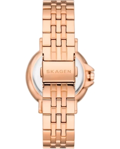 Купить Наручные часы Skagen SKW3136  в E-mobi