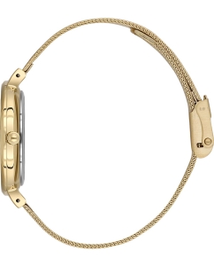 Купить Наручные часы Daniel Klein DK.1.13720-4  в E-mobi