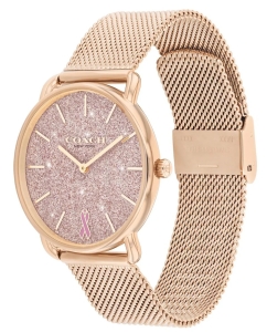 Купить Наручные часы COACH 14504212  в E-mobi