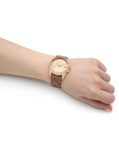 Купить Наручные часы COACH 14504111  в E-mobi