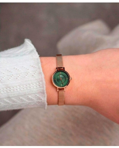 Купить Наручные часы Daniel Wellington Petite Mini 19 Melrose RG Green  в E-mobi