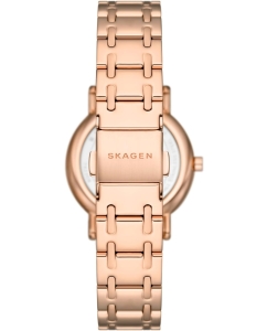 Купить Наручные часы Skagen SKW3125  в E-mobi