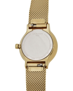 Купить Наручные часы Skagen SKW2717  в E-mobi