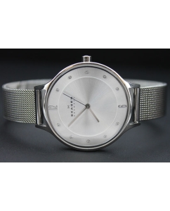 Купить Наручные часы Skagen SKW2149  в E-mobi